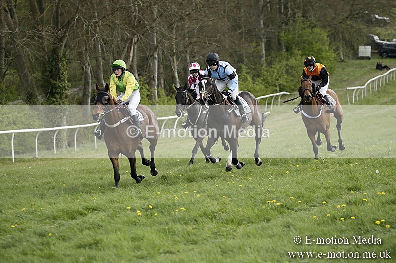 PtP 170417 325 - Old Berks Point-to-Point Lockinge 17/04/17