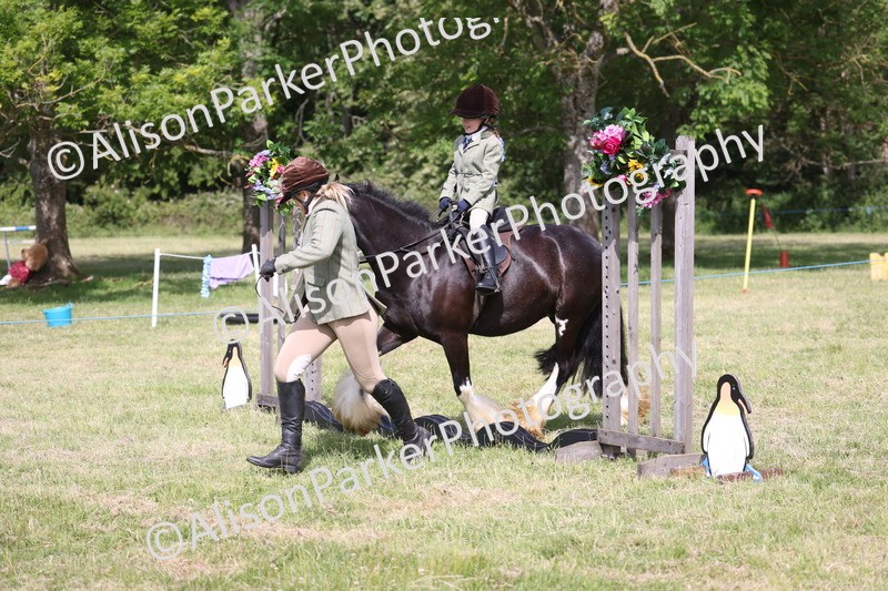 20260614-0627 - Class 20 - Beginners Working Hunter Pony