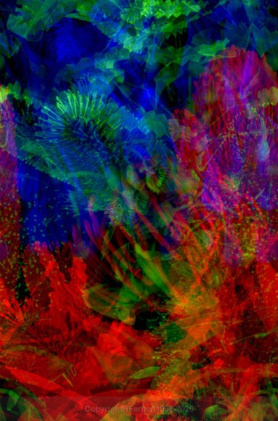 STILL LIFE-CYCLE - STILL LIFE-CYCLE I 2012