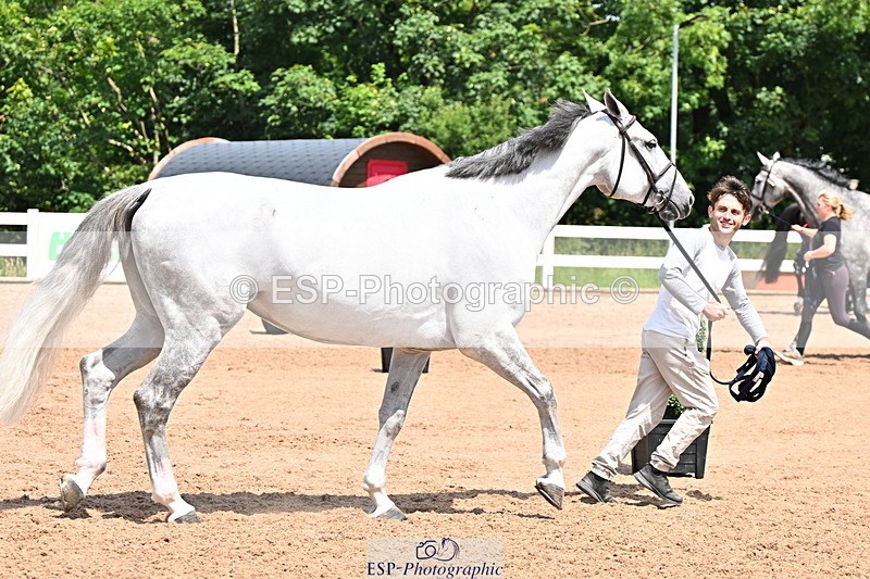 240718A-105301-01456 - Trot Up 12pm to 1pm