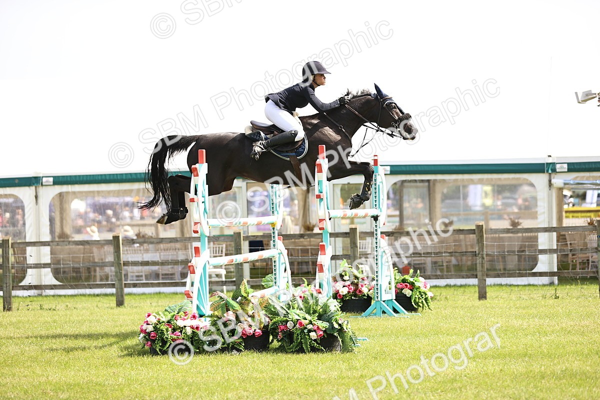SBM_03067 - Class 201 - British Horse Feedds Speedi Beet HOYS Grade C