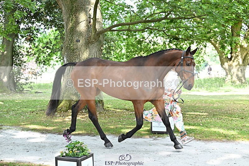 250521A-151727-00404 - B-325-Kat.Raybould-MONBEG.SHELBY