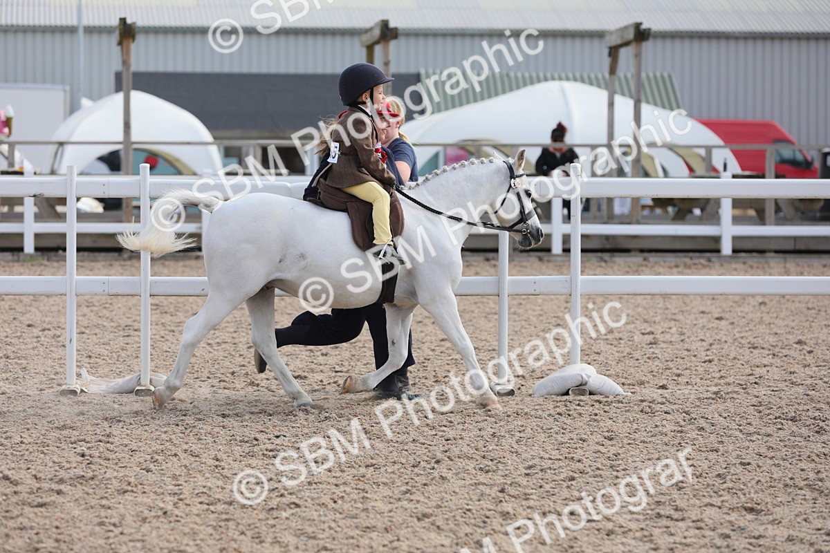 SBM_13978 - Class 309 Lead Rein Pony