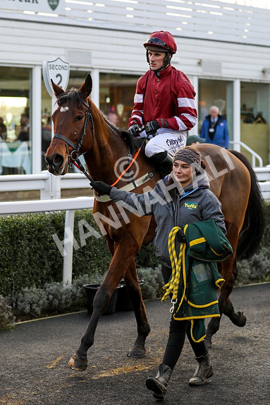 191223-Race 4-Rich Spirit-2594 - Race 4