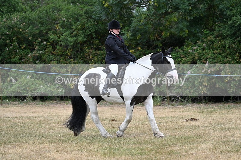 WJ7_1201 - Class 3 Family Mount