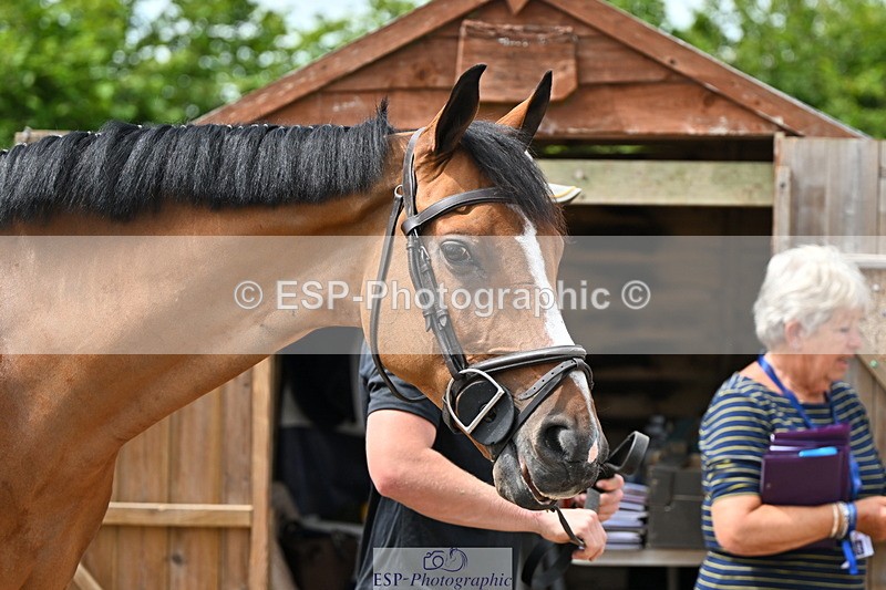 240718A-105303-01502 - Trot Up 12pm to 1pm