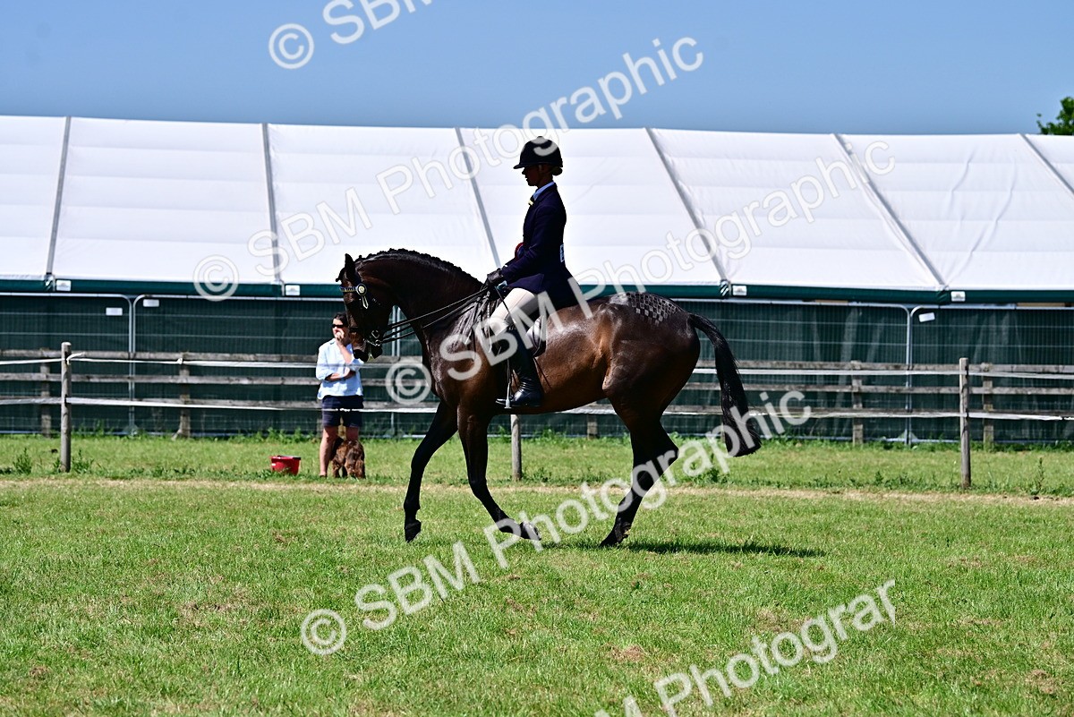 SBM_17557 - Class 95-97 - BSPS LHS Performance Ponies
