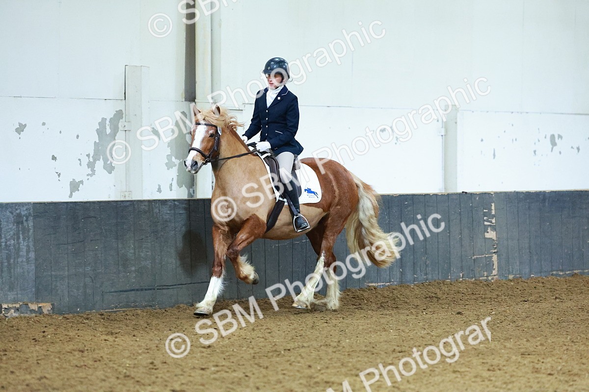 SBM_003658 - Novice 2