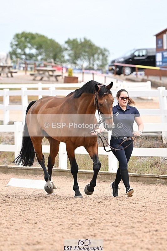 250716-154149-02132 - Trot Up 3.30 to 4.30