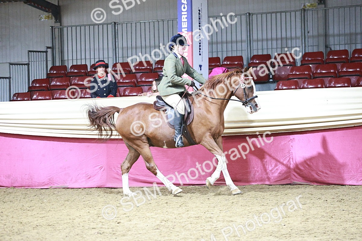 SBM_08025 - Class 11R - Regional Ridden Veteran