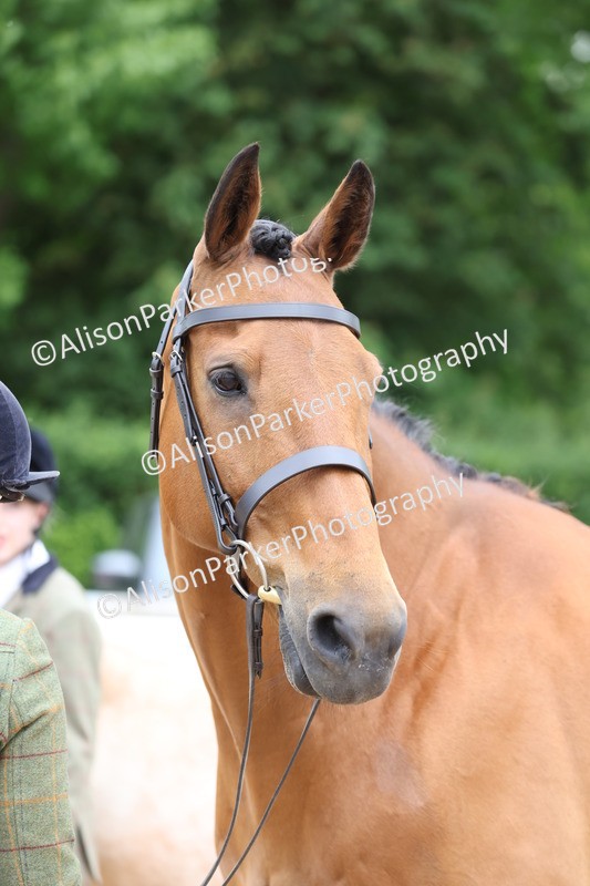 20250524-0775 - Class 7 - Veteran