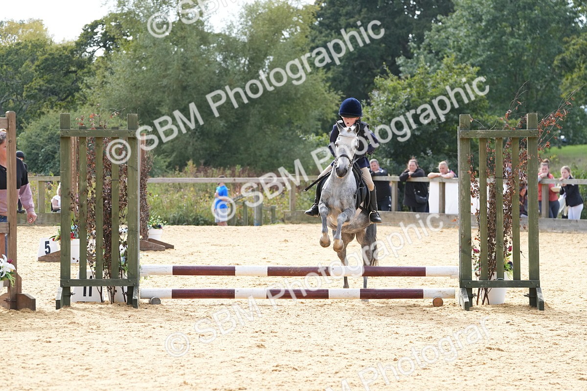 SBM_68506 - J3 - Mini Tour Junior Pony 40cm Championship