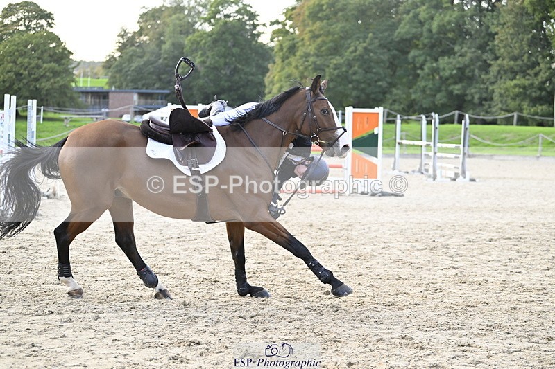 251005A-180312-05562 - Cls 12 Adv 1.10m Ind