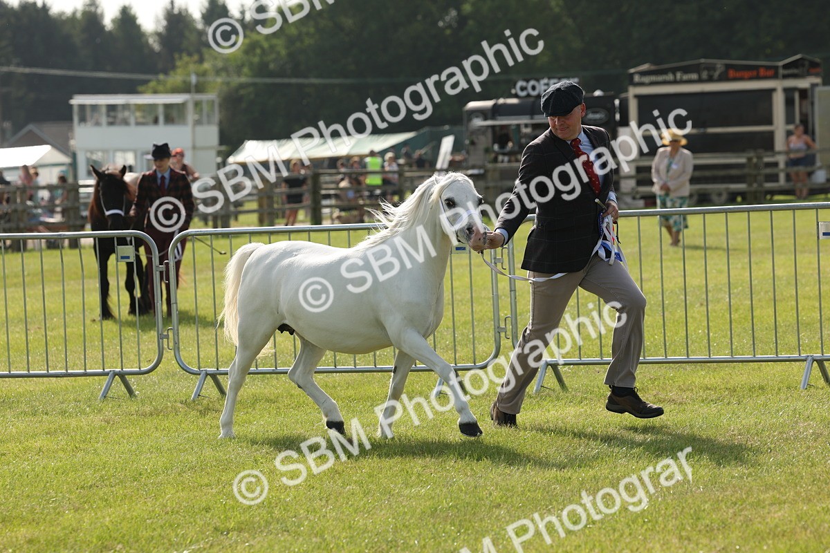 SBM_00667