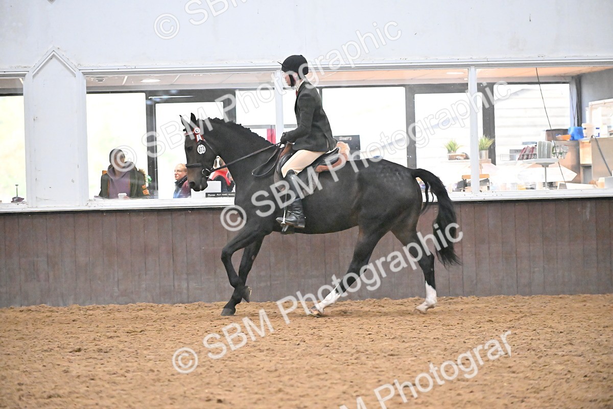 SBM_002911 - Class 36 - BSHA Style and Performance