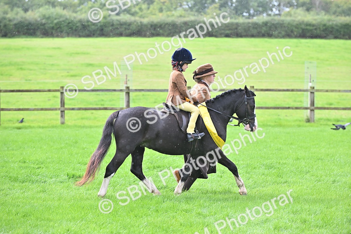 SBM_38368 - S19 - Lead Rein Show & Show Hunter Pony