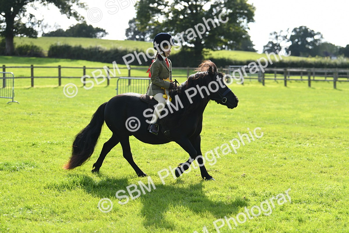 SBM_50513 - S21 - Novice & Newcomers 1st Ridden Pony