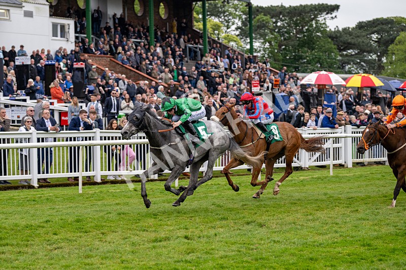 040524-Race 4-Star Of Lady M-4517 - Race 4