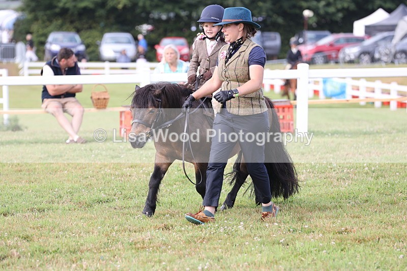 JPP_0423 - Class 14: Cornish Combination Leading Rein