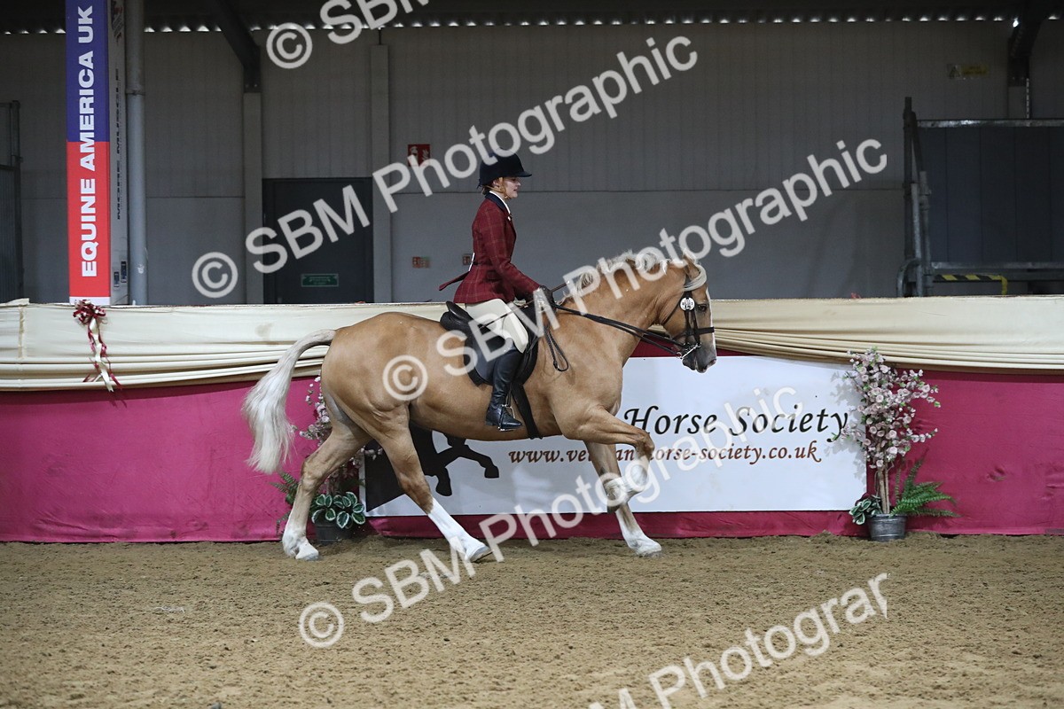 SBM_10387 - Class 102 Equitation (best rider) Adult