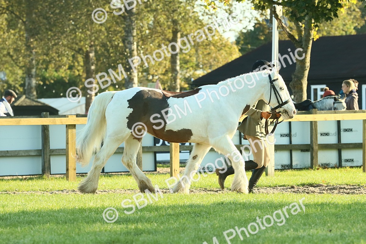 SBM_57328 - S37 - Starters In Hand Showing