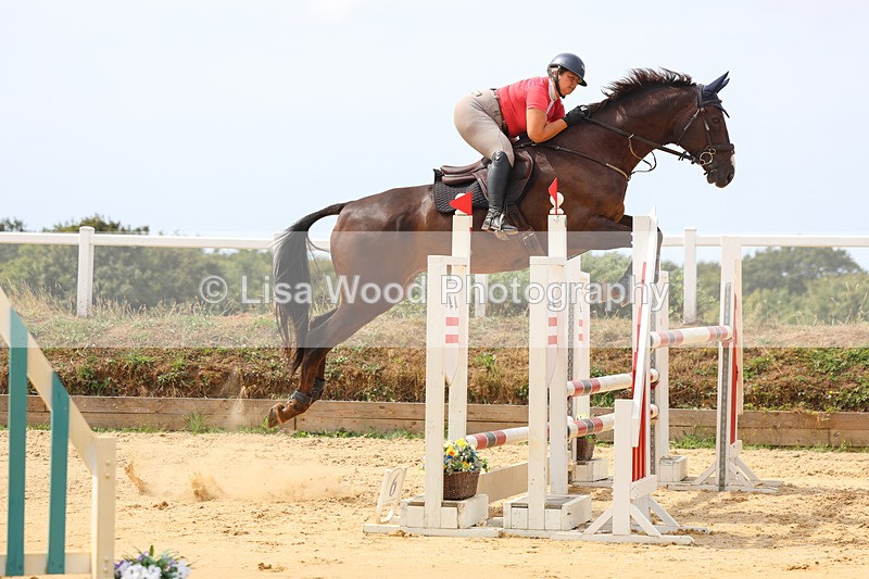 3E7A4298 - Class 8: Senior Foxhunter/1.20 open