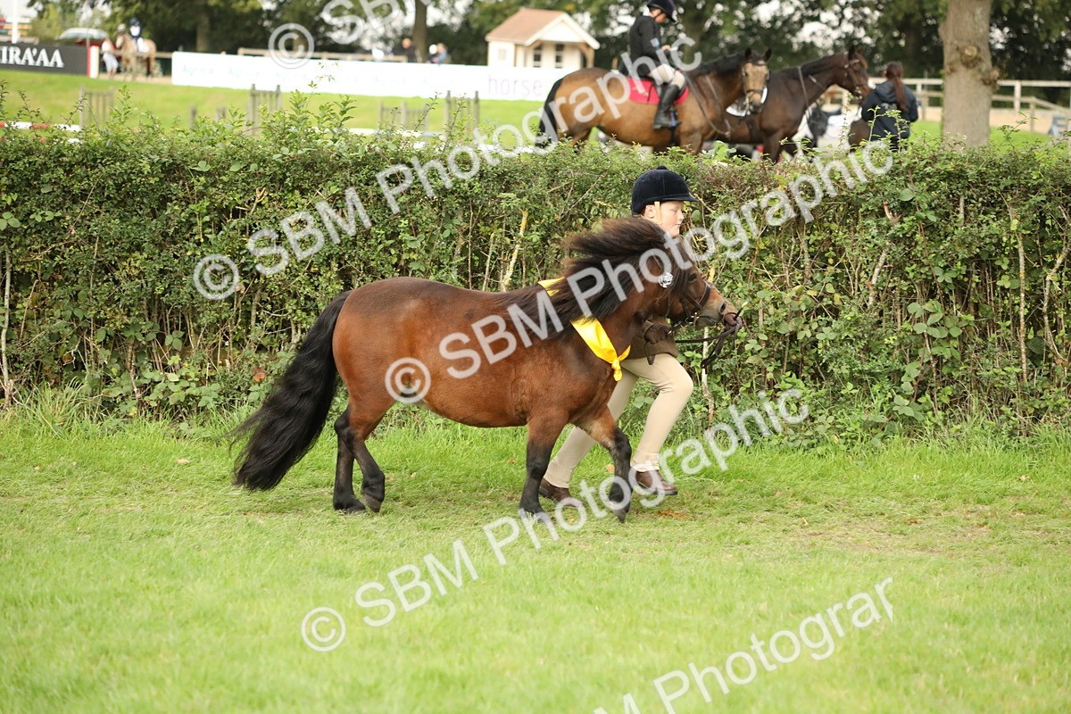 SBM_75361 - Equitation Supreme Championship