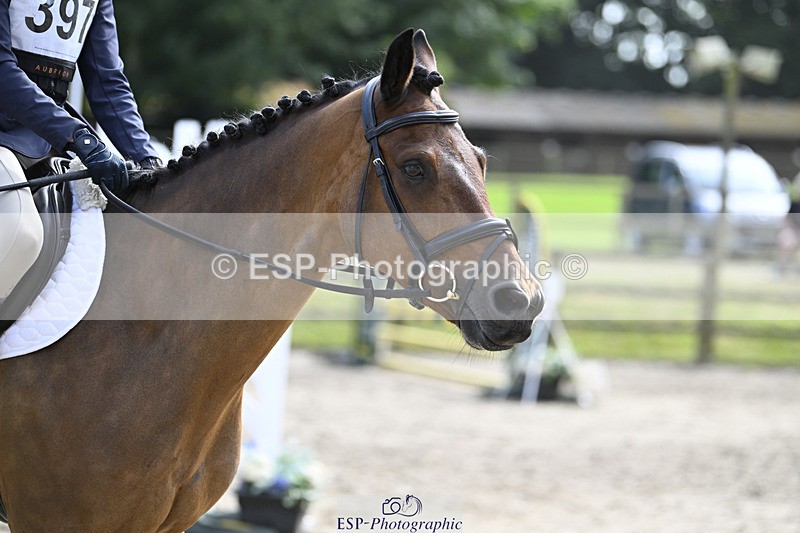 240823X-160630-19043 - 70cm R2 15.20 to 16.40