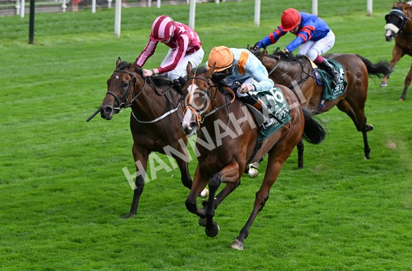 210825-039 Song Of The Clyde - Race 2 2.25pm Harry's Half Million By Goffs