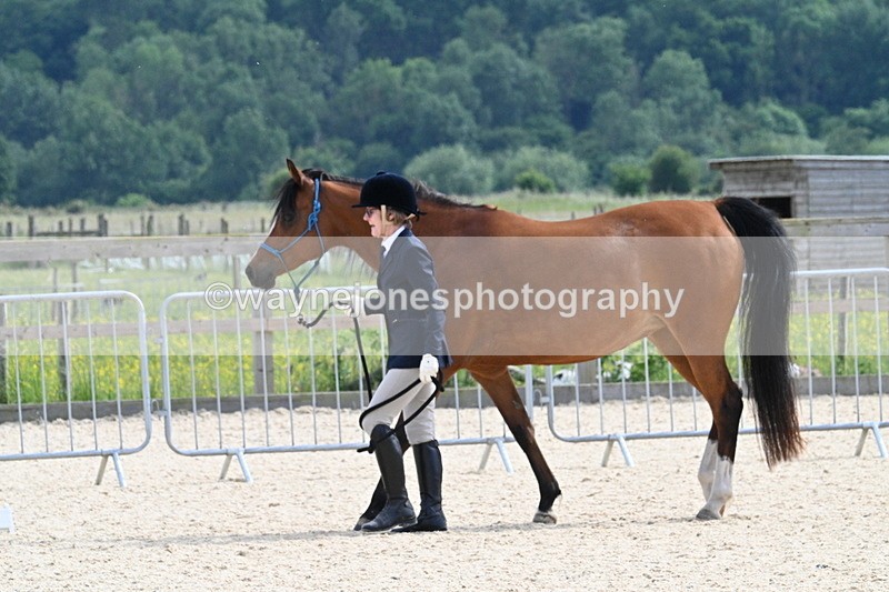 WJ7_8178 - Time 16:10 to 16:25