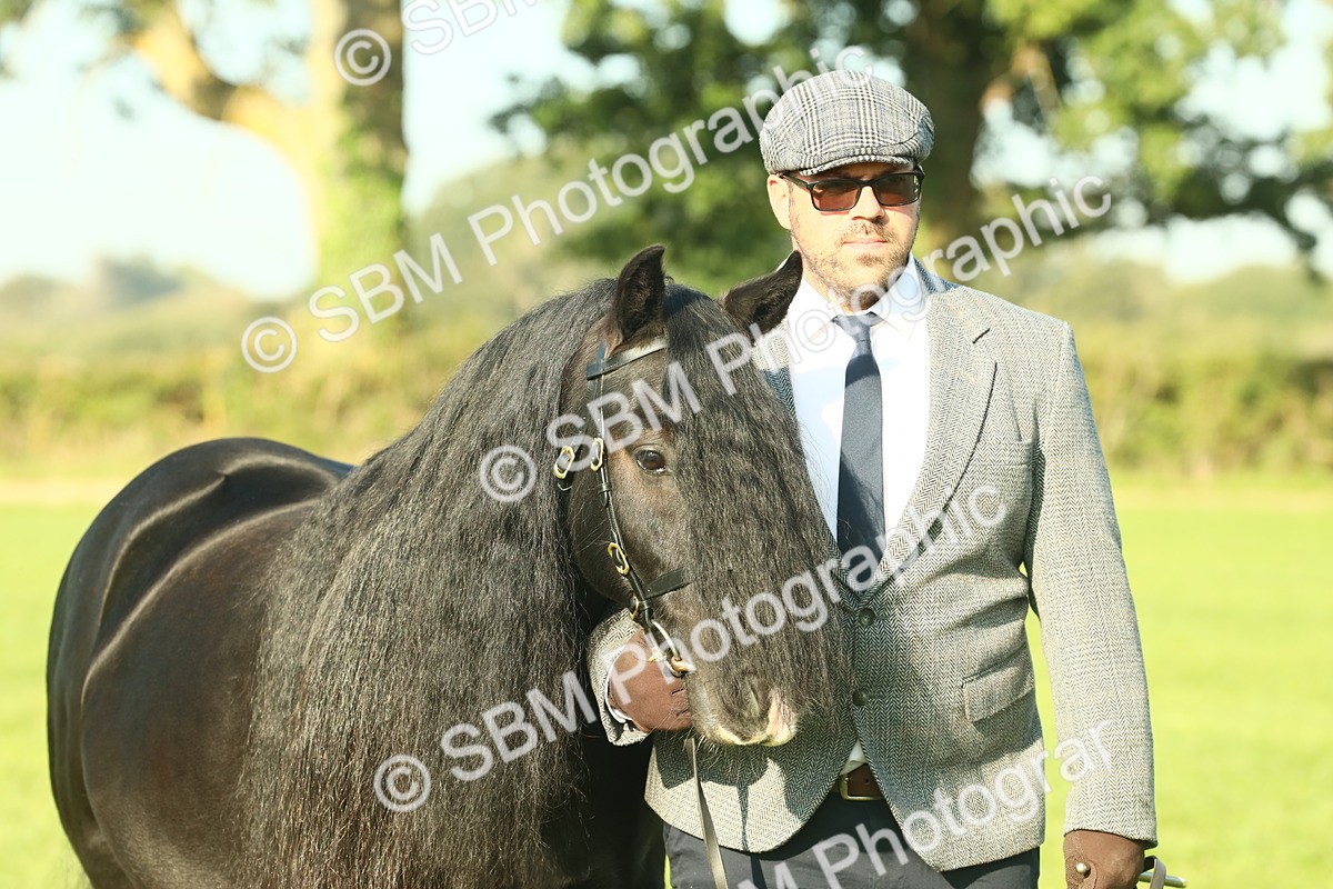 SBM_58618 - S37 - Starters In Hand Showing