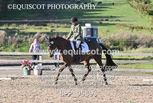 BPP_9559 - SHORT ARENA