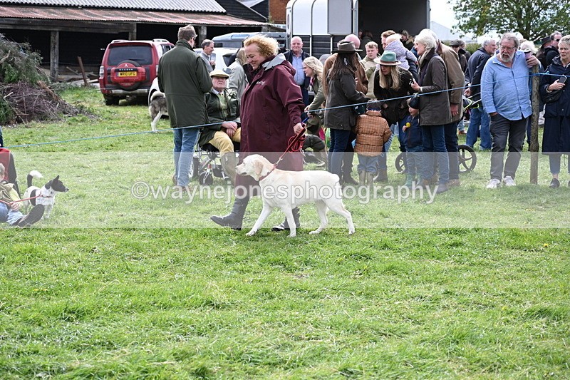 WJ6_8278 - Class 4 Prettiest Bitch