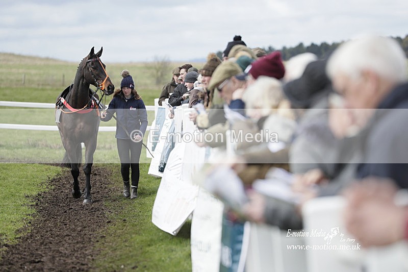 PtP 260323 0341 - New Forest Hounds Point-to-Point Larkhill 26/03/23