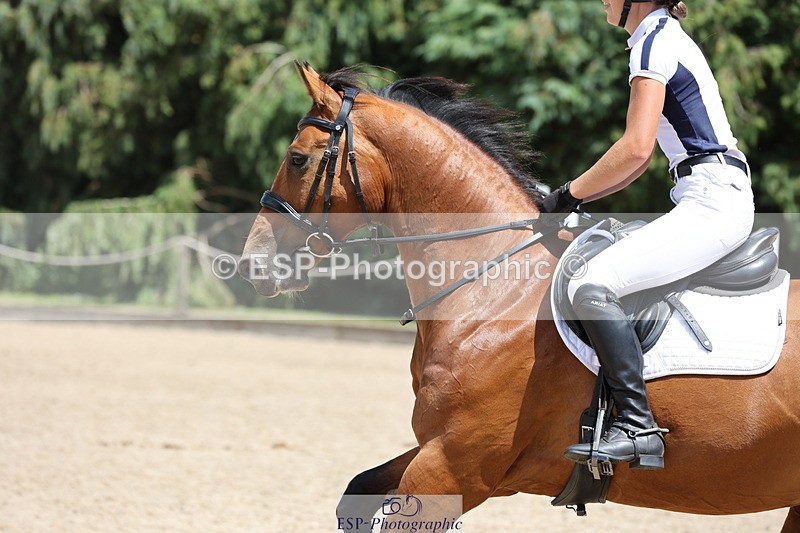 250703A-133447-04953 - Cls 8 95cm Amateur Qualifier