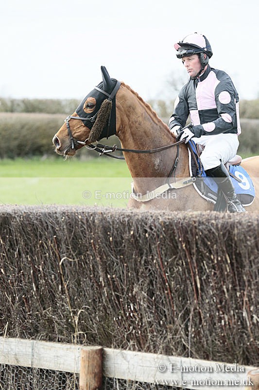 PtP 230319 203 - VWH Hunt Siddington Point-to-Point Racing 23/03/19