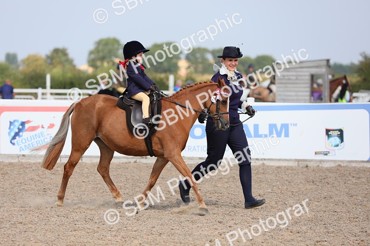 SBM_14006 - Class 309 Lead Rein Pony