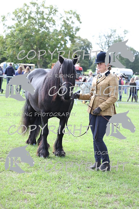 APP_2961 - Class 10a/b M&M in hand