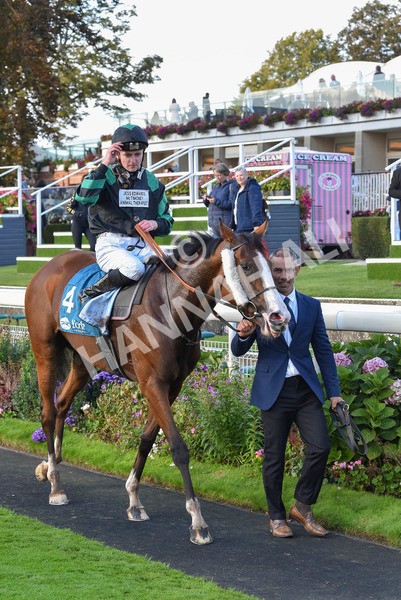 230923-Race 6-September Power-7079 - Race 6 4.55pm New To York Rio Brazilian Handicap