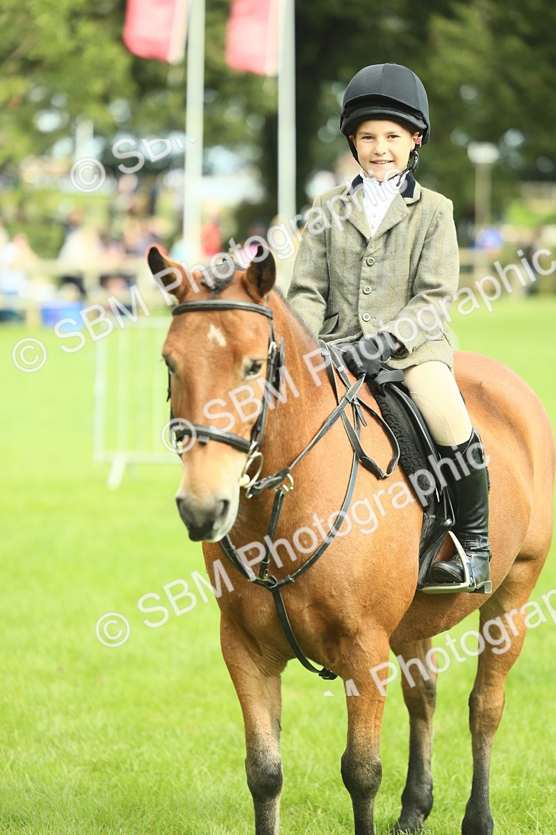 SBM_44808 - S31 - Working Hunter Pony