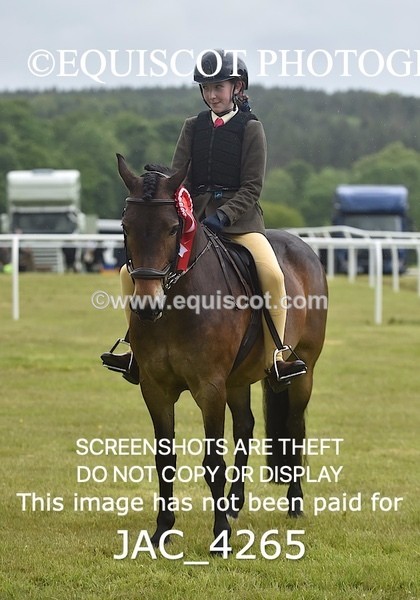 JAC_4265 - WORKING HUNTER CHAMPIONSHIP