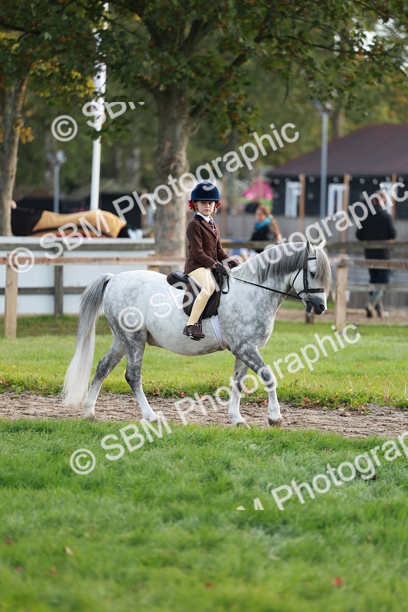 SBM_56281 - S39 - Starters In Hand Showing