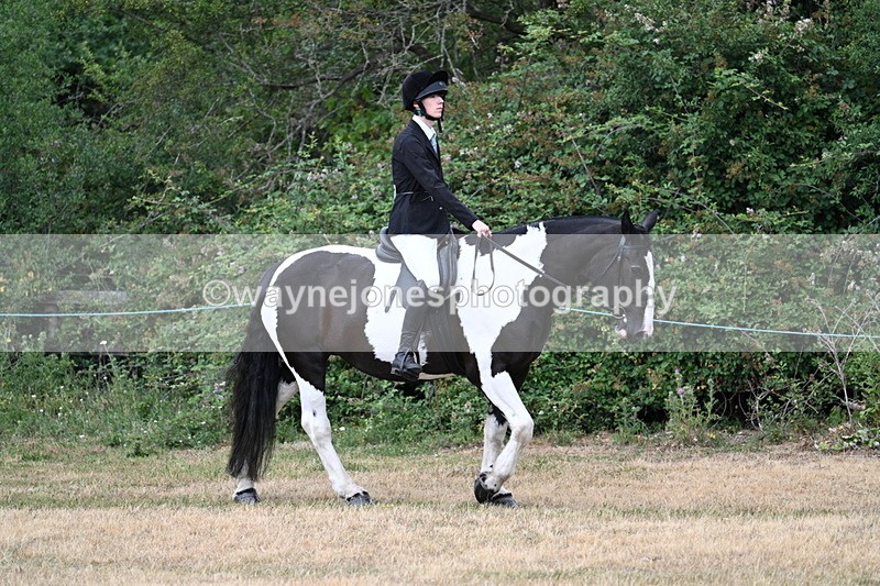 WJ7_0841 - Class 3 Family Mount
