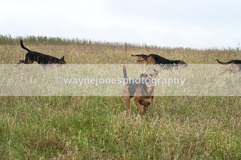 WJ7_9825 - Camera 1 & Last fence