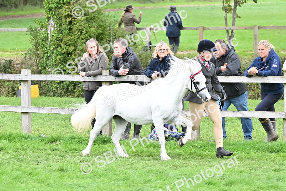 SBM_68528 - S42 - Junior Handler 9-12 Years