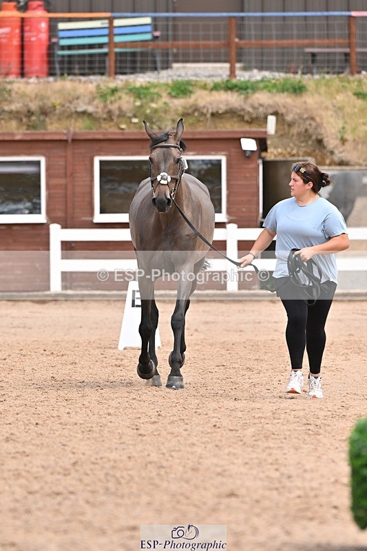 250716-142430-01061 - Trot Up 1.30 to 2.30