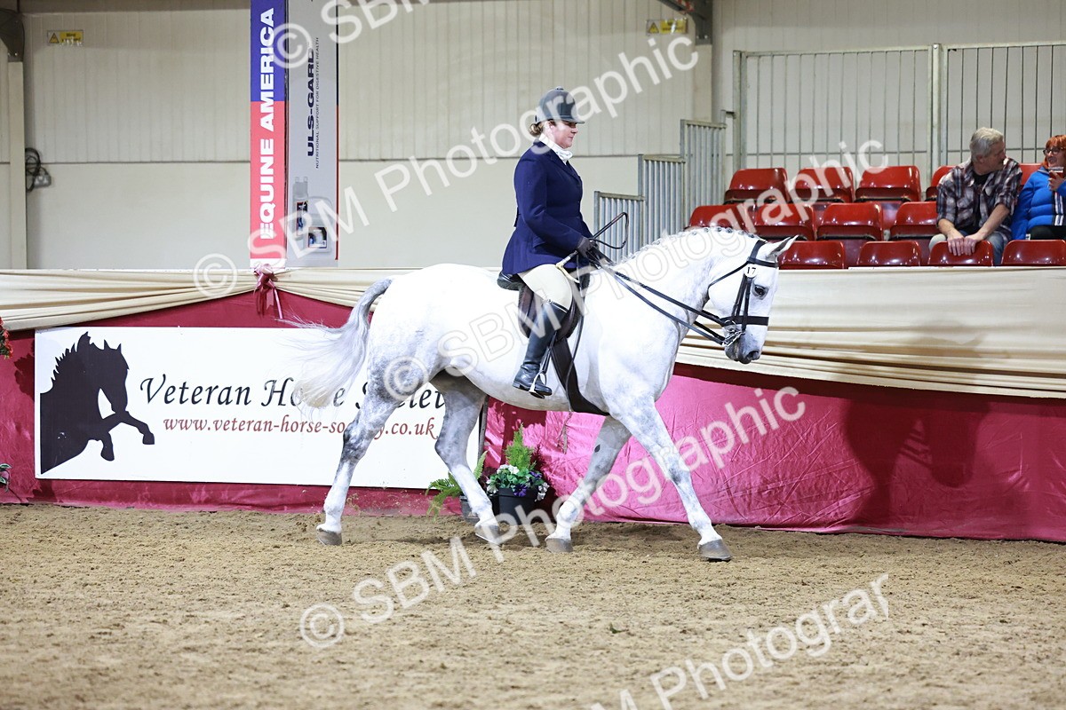 SBM_21123 - class Q - Ridden Horse Champ