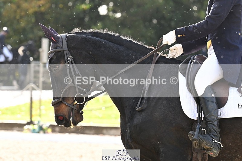 251023A-150801-05666 - B-162-Elle.Slack