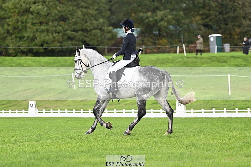 251023A-104717-02604 - G-509-Millie.Bloomfield