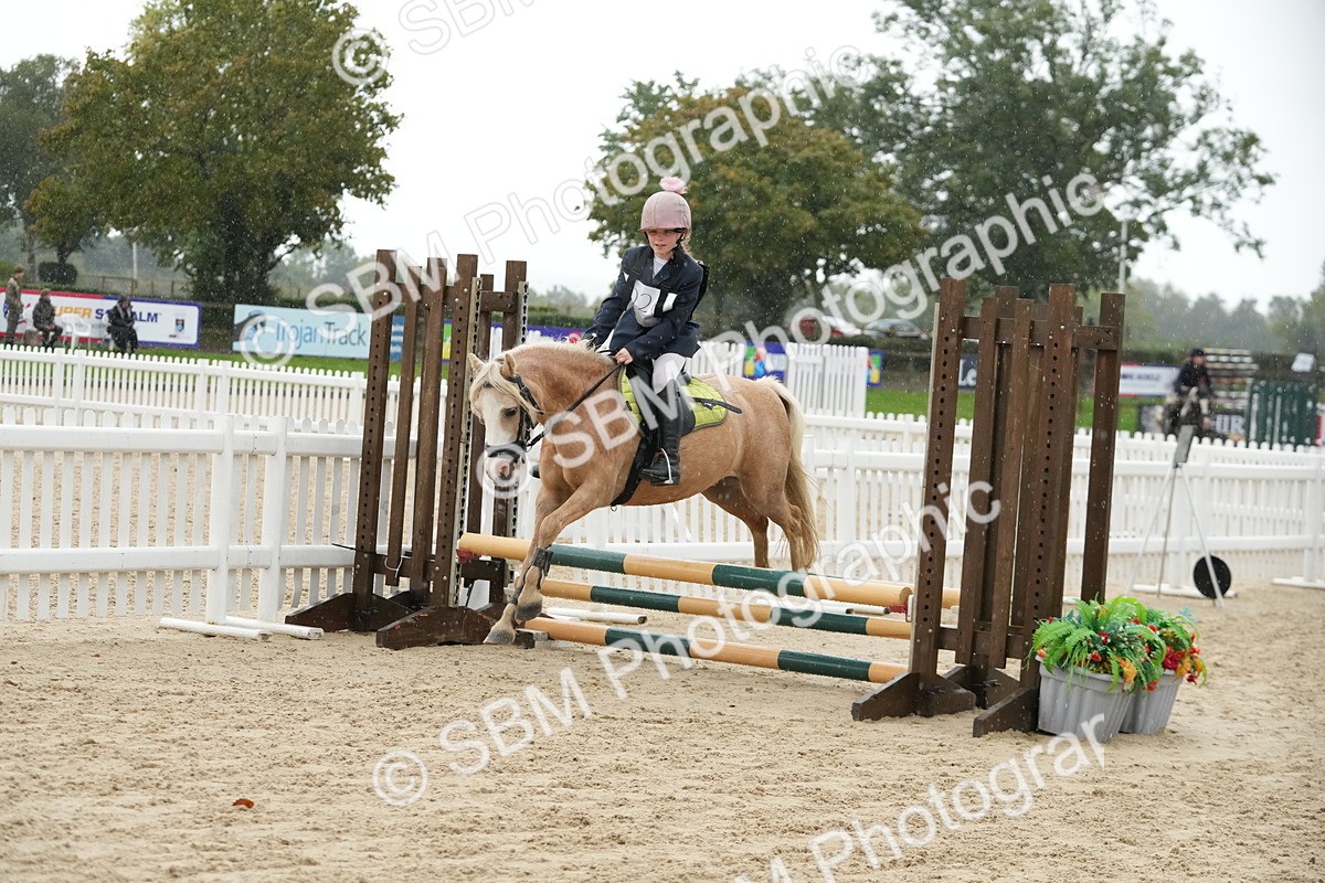SBM_33868 - J5 - Junior Pony 50cm Championship